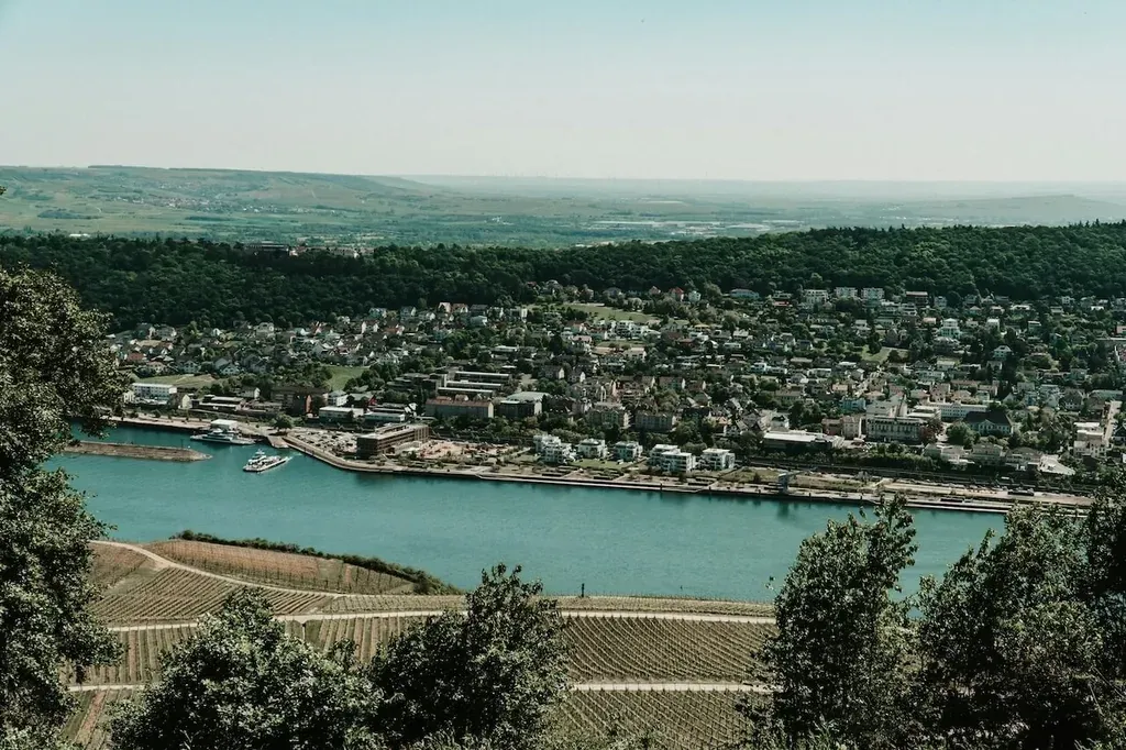 Rheingau Weinberge im Herbst - Motorradtour mit Weinprobe